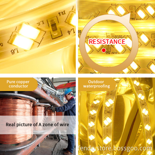 220V High Voltage IP65 Double Row LED Strip with 72/120 LEDs 5730 Chips